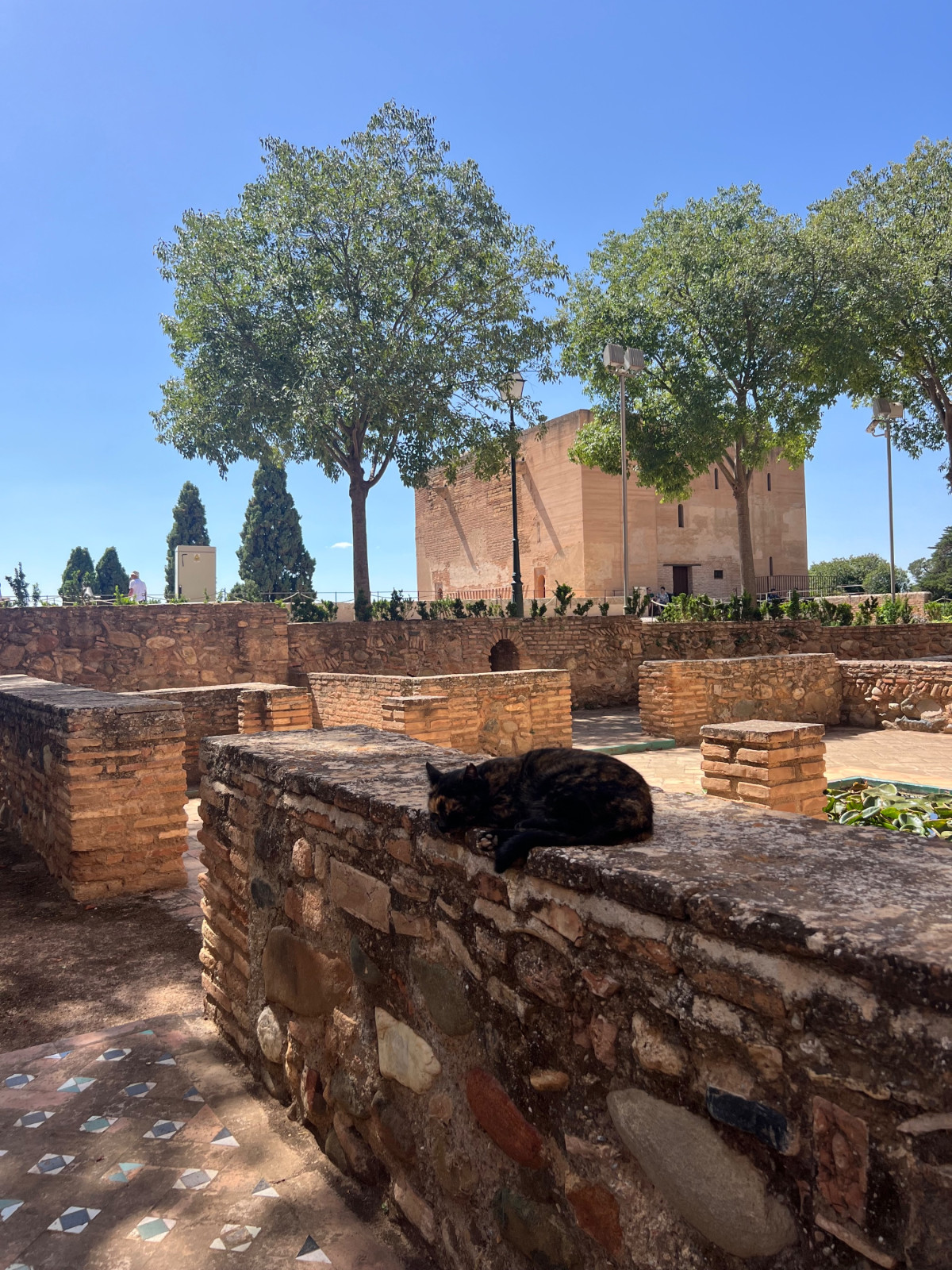 photo - Beauty & Wellness Maassluis